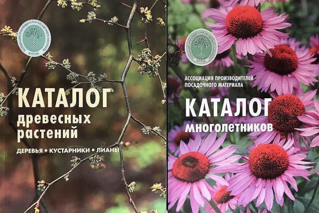 Каталог многолетних растений уже в продаже!