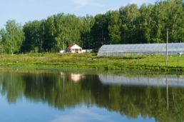 Питомник