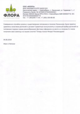 Отзыв
