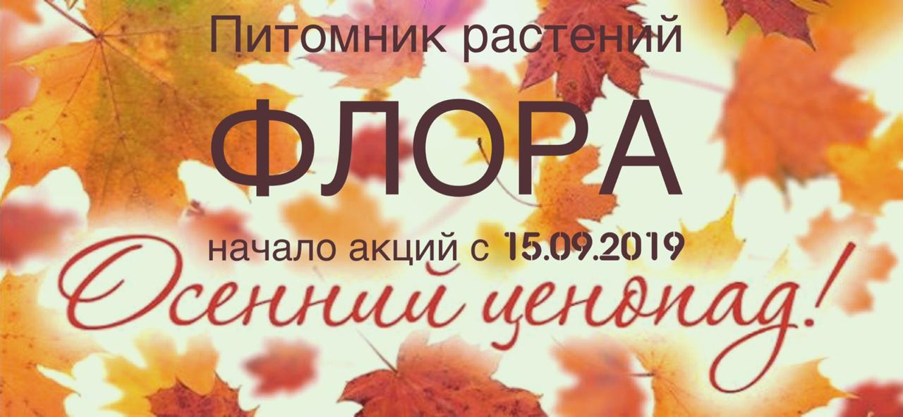 Акция! Осенний ценопад в питомнике «Флора»
