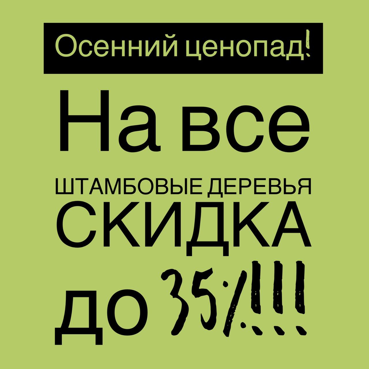 Акция! Осенний ценопад в питомнике «Флора»