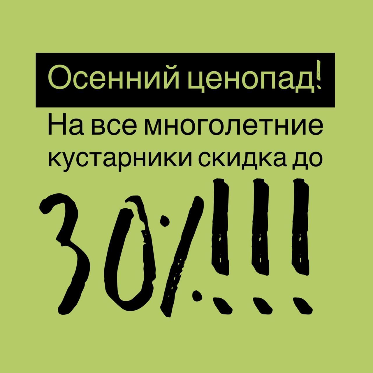 Акция! Осенний ценопад в питомнике «Флора»