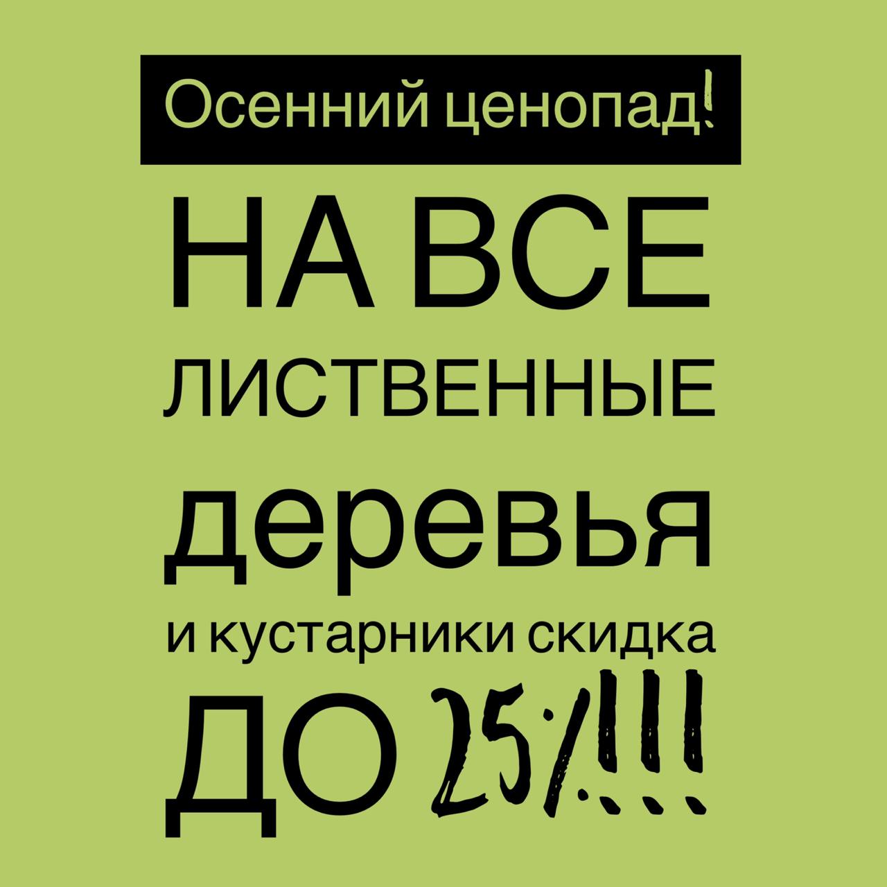 Акция! Осенний ценопад в питомнике «Флора»