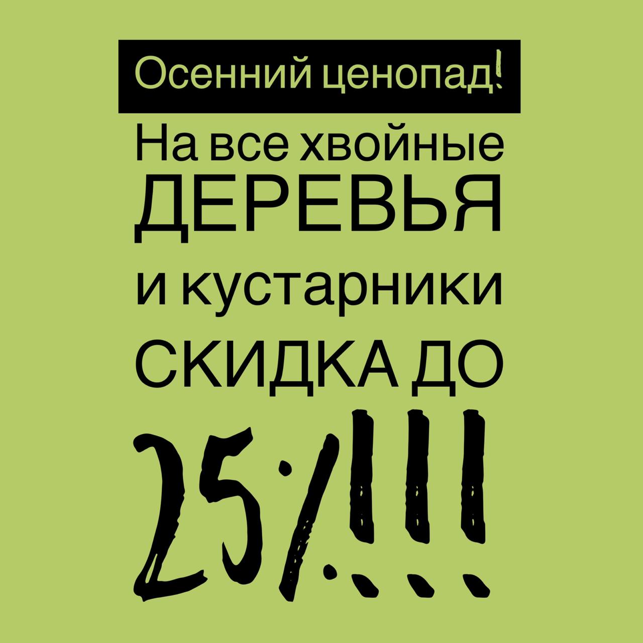 Акция! Осенний ценопад в питомнике «Флора»