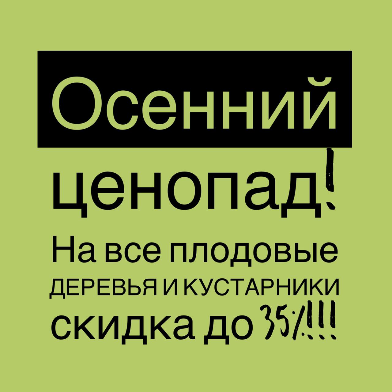 Акция! Осенний ценопад в питомнике «Флора»
