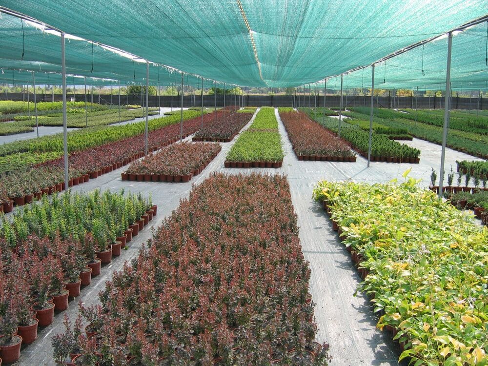 Уточняйте цены в каталоге у наших менеджеров