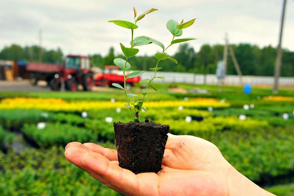 Заключаем договора на 2022 год!