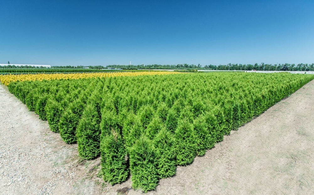 Успевайте сделать покупки по прежним ценам в декабре!